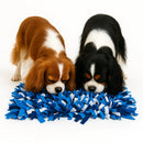 dois cachorros brincando no tapete interativo para cachorro azul